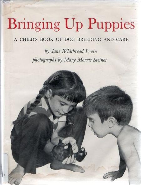 Bringing Up Puppies cover